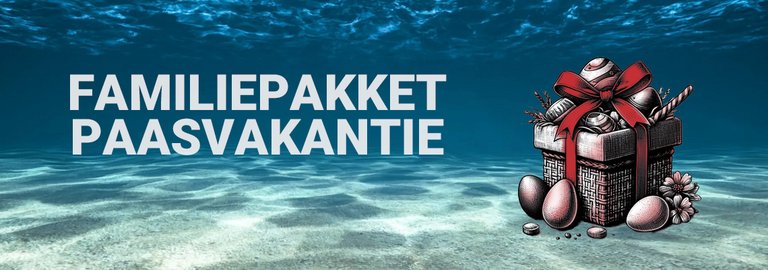 familiepakket-paasvakantie-print-en-play-spellen Illustratie van een cadeaupakket met paaseieren en lint onder water, met de tekst 'Familiepakket Paasvakantie'.